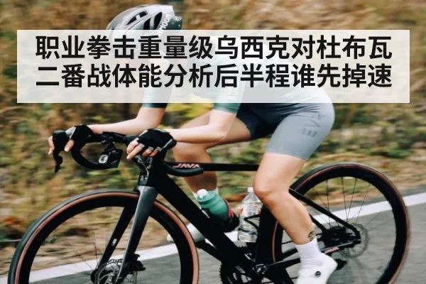 职业拳击重量级乌西克对杜布瓦二番战体能分析后半程谁先掉速
